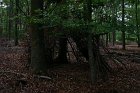 Camp 2011 (807)